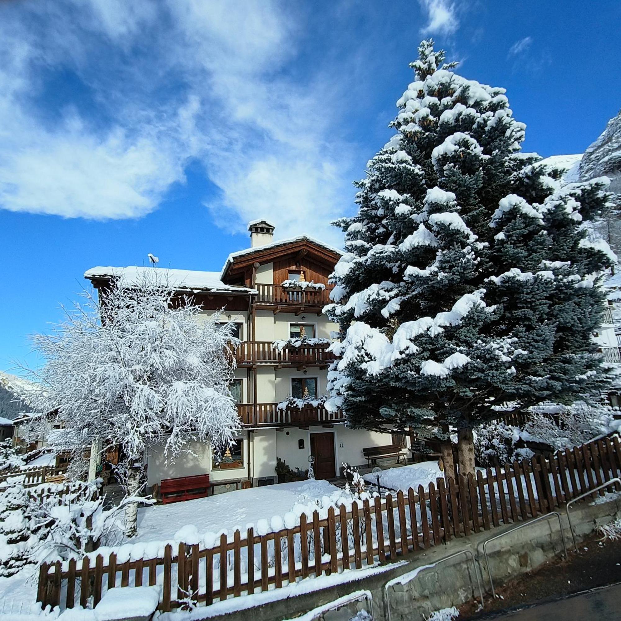 Апартаменты Casa Alfredo Конье Экстерьер фото